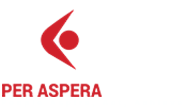 P3A Consultancy